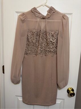Lace Bodice Long-Sleeve Sheath Dress in Taupe